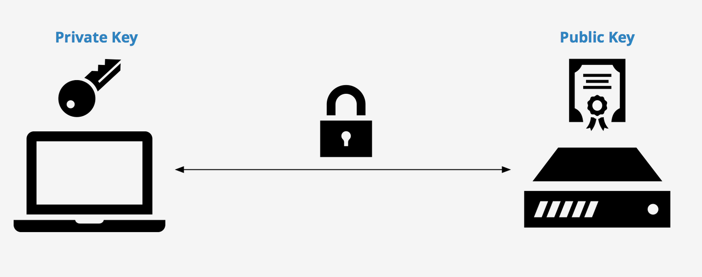 Public Key vs Private Key